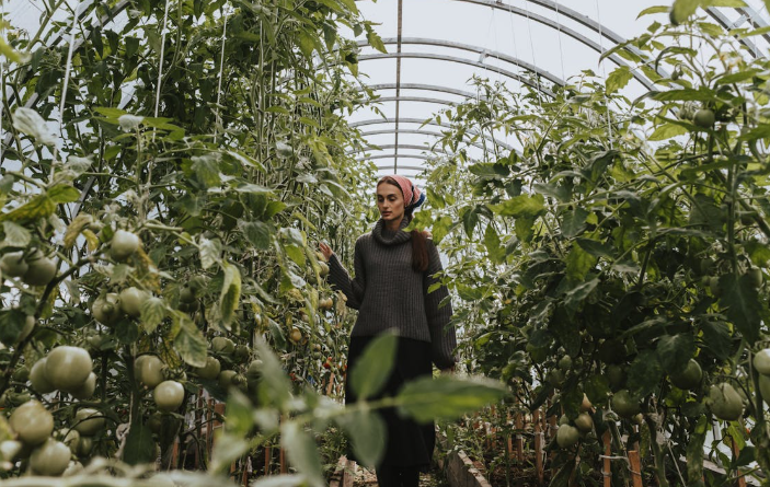 High-Tech Plant Sensors for Advanced Gardening Insights
