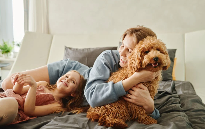 Show Affection Safely with Pet
