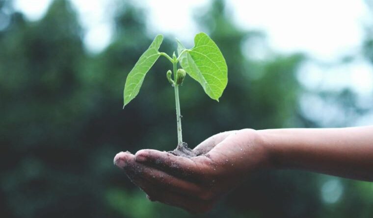 World Environment Day Theme 2025: 'Beat Plastic Pollution' – A Global Call to Action