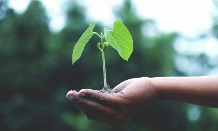 World Environment Day Theme 2025: ‘Beat Plastic Pollution’ – A Global Call to Action