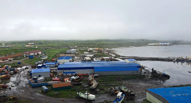 Earthquake and Tsunami Alerts Shake the Pacific