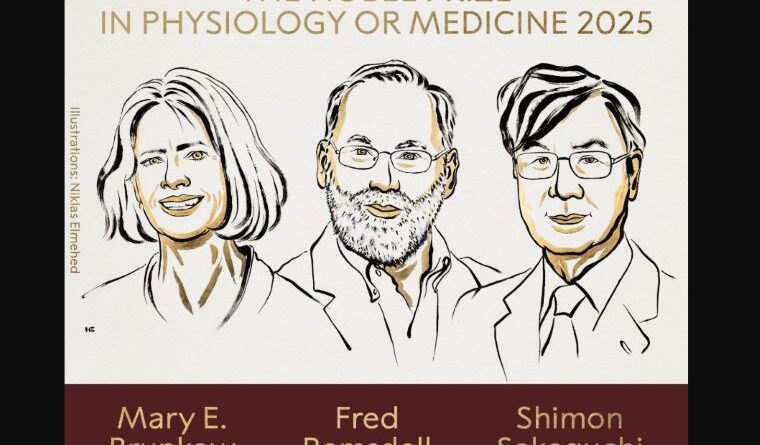 2025 Nobel Prize in Medicine Awarded to Trio for Immune System Breakthrough