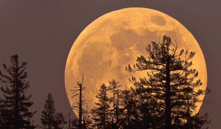 The Cold Moon 2025: Last Full Moon & Final Supermoon of the Year