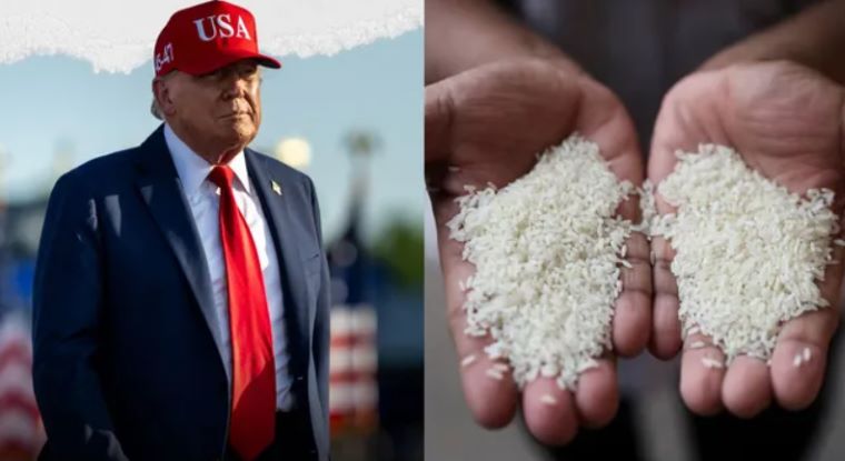 Trump’s New Tariff Threat on Indian Rice: What It Means for India and Global Trade
