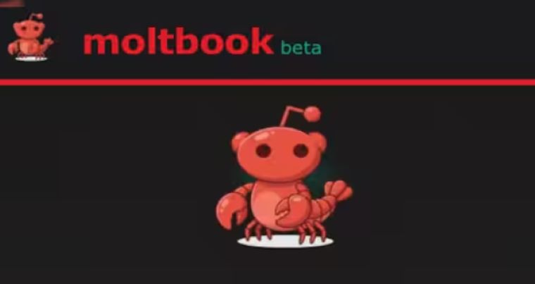 Moltbook – A New Social Network Built Just for AI Agents