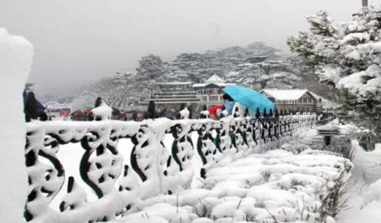 North India Weather Update: Snowfall in Hills, Cold Wave and Fog Grip Plains