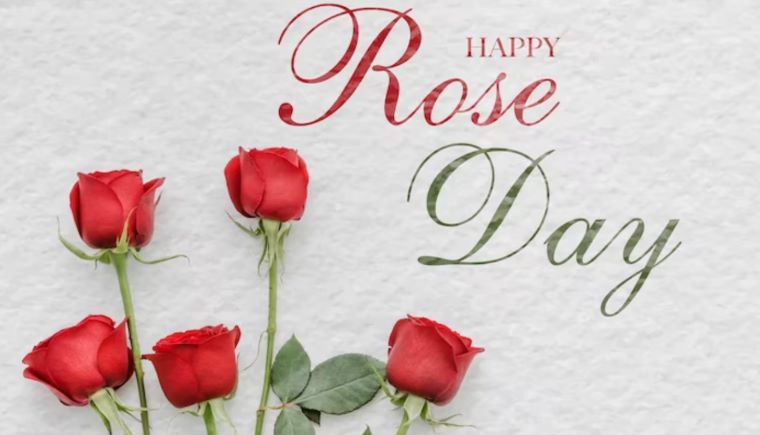Happy Rose Day 2026: Wishes, Messages and Quotes to Share With Loved Ones