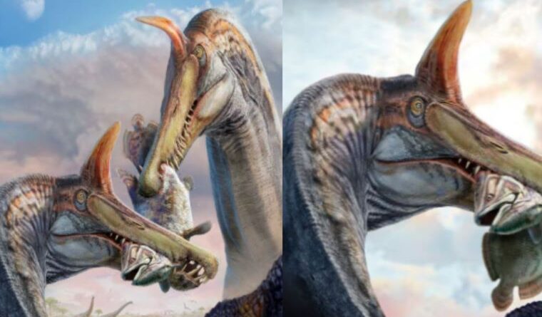 New “Spinosaur” Species Unearthed in the Sahara — A Giant Unlike Any Seen Before