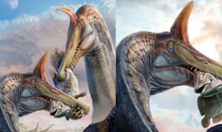 New “Spinosaur” Species Unearthed in the Sahara — A Giant Unlike Any Seen Before