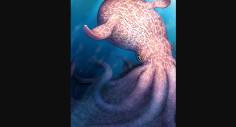 Giant Octopus Fossil Discovery: Did a Real-Life “Kraken” Rule the Oceans 100 Million Years Ago?