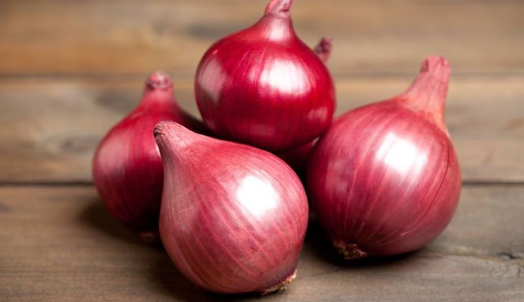 Onion Storage Tips, Farmer Income Boost & Health Benefits: Why This Common Vegetable Is Making Headlines