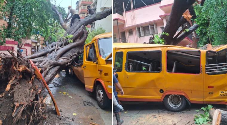 Mumbai School Bus Tree Accident: 11-Year-Old Student Dies After Tree Falls on School Bus in Chembur Amid Heavy Rains