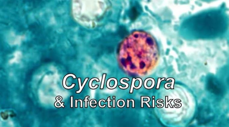 Cyclospora Outbreak Raises Health Concerns Across the US