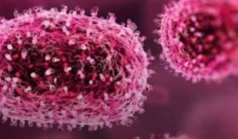 Centre Rushes Expert Team as Chandipura Virus Claims 22 Children in Gujarat