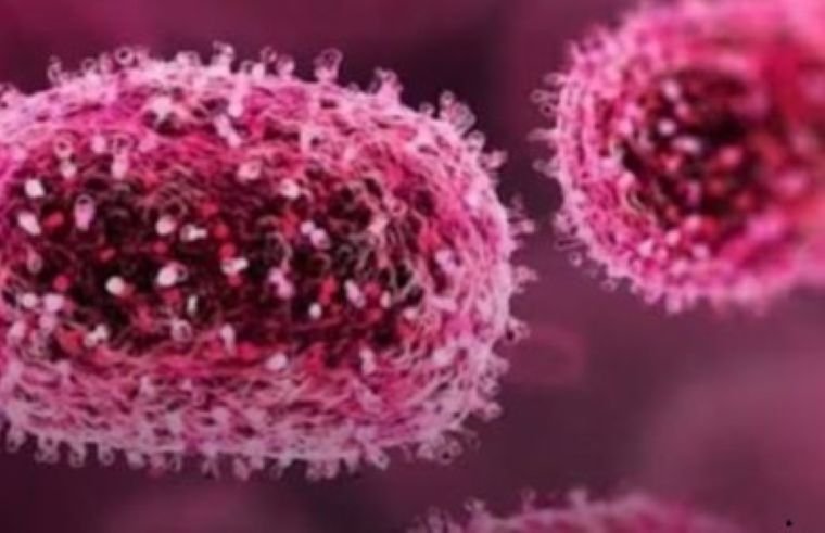 Centre Rushes Expert Team as Chandipura Virus Claims 22 Children in Gujarat